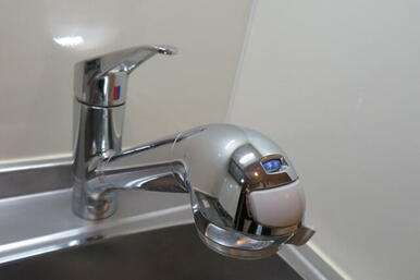 ｔａｋａｇｉの浄水器付き　ＪＡ２００ＬＮ－ＮＮＢＨ０１ＥＨ１７１－０７９