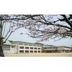 中学校