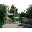 幼稚園、保育園
