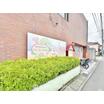 幼稚園、保育園
