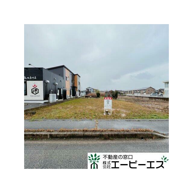 現状雑種地