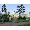 公園