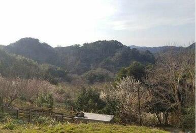 現地からの眺望（2021年2月）撮影