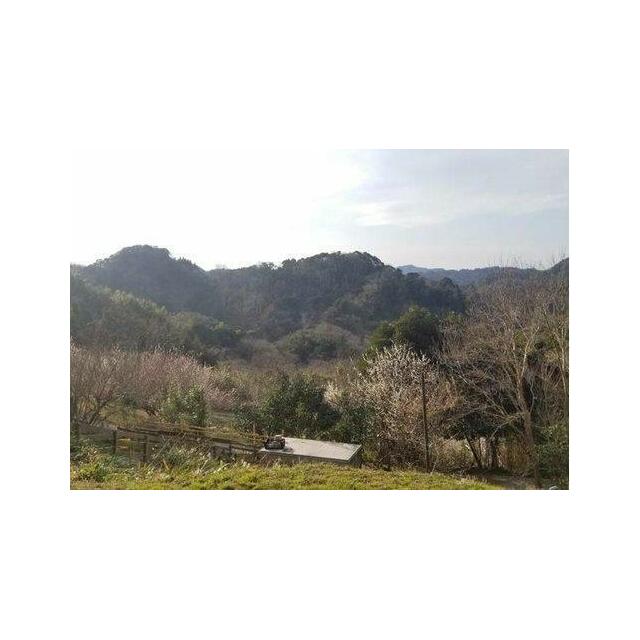 現地からの眺望（2021年2月）撮影