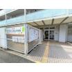 幼稚園、保育園