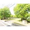 公園
