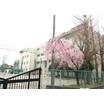 中学校
