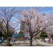 公園