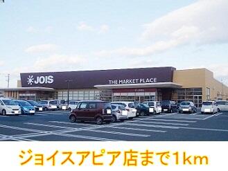 ジョイスアピア店