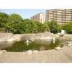 公園