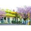 幼稚園、保育園