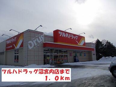ツルハドラッグ沼宮内店