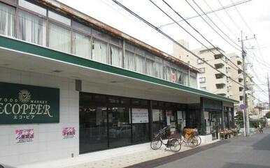 エコ・ピア薬円台店