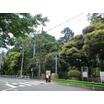 公園