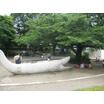 公園