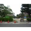 公園