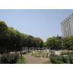 公園