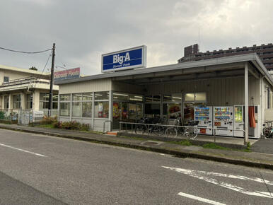 ビッグ・エー千葉真砂店