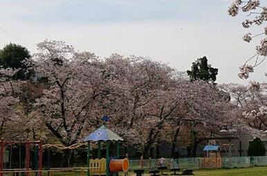 八景水谷公園