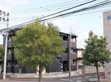 ※別号室の写真となります。