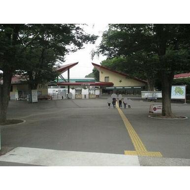 こどもの国駅