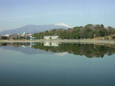 門池公園まで1,200ｍ