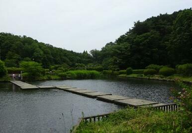 台原森林公園３