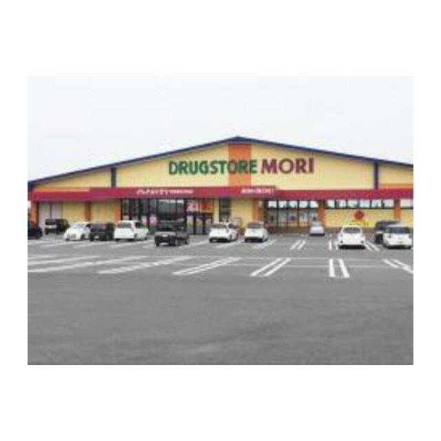ドラッグストアモリまで700ｍ