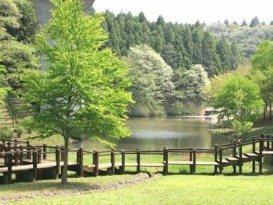 さんぶの森公園