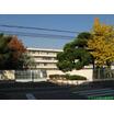 小学校