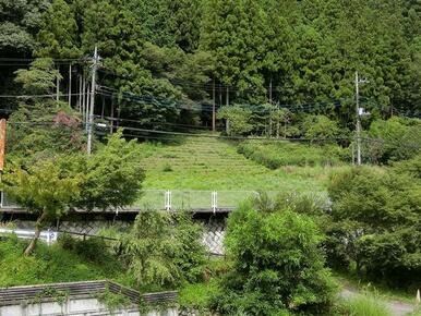 近くの小出橋から現地をみる