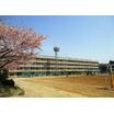 中学校