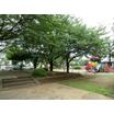 公園