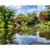 公園