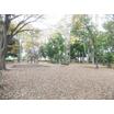 公園