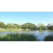 公園
