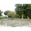 公園