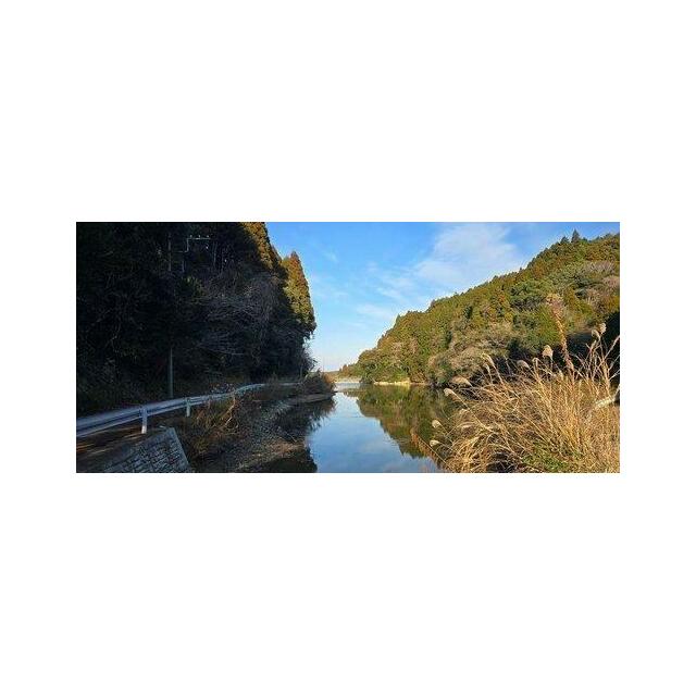 すぐそばにある水場（堰）