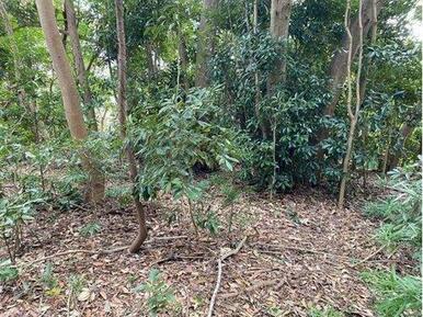 ■敷地面積：1936㎡（585坪）