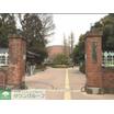 大学