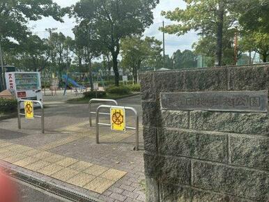 伊敷団地中央公園
