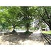 公園