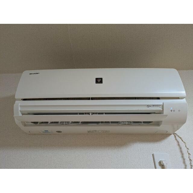 ※クリーニング前の写真です