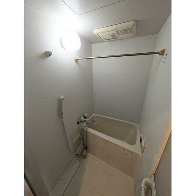 ※クリーニング前の写真です。