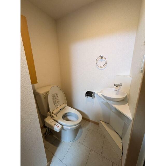 ※クリーニング前の写真です。