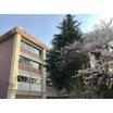 中学校