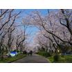 公園