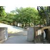 公園