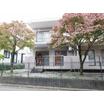幼稚園、保育園