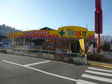 どらっぐぱぱす板橋徳丸店